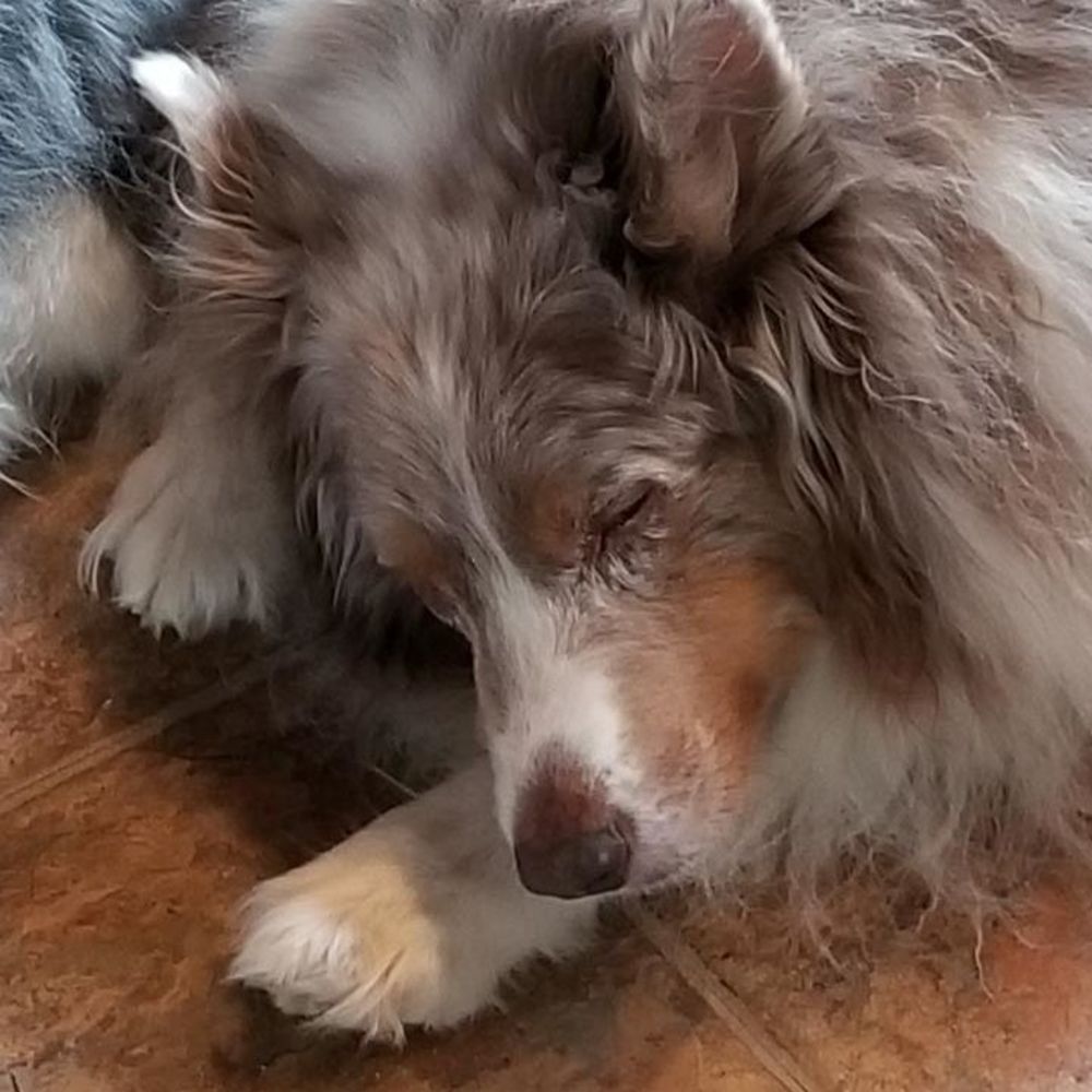 Meet your Posher, Kris